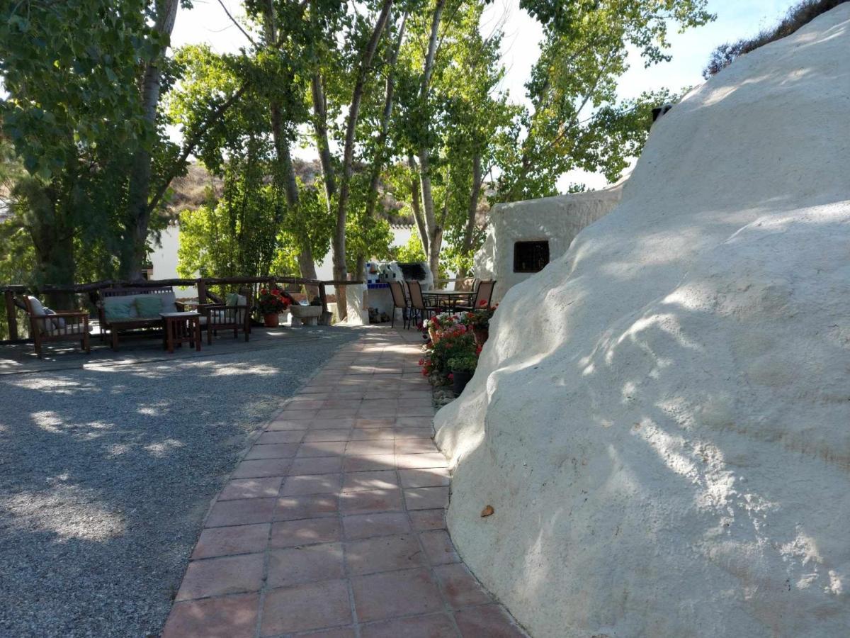 Cueva El Guindas Séjour à la campagne